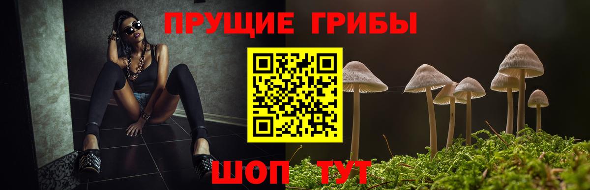 Галлюциногенные грибы мухоморы  Вход с VPN  Галлюциногенные грибы ЛСД  Сорочинск 